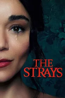 Download The Strays (2023) Dual Audio 1080p BluRay