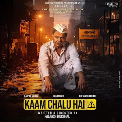 Kaam Chalu Hai (2024) Hindi 1080p WEBRip