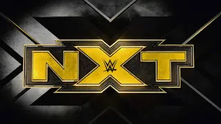 WWE NXT 01 January 2020 480p WEBRip